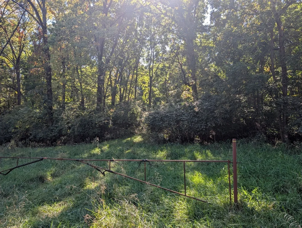 Unit for sale at 1 Rural Route Road, DeWitt, IL 61735