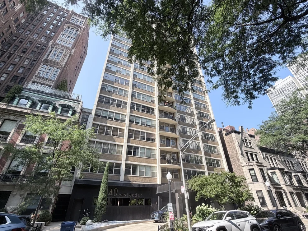 Unit for sale at 40 E Cedar Street, Chicago, IL 60611