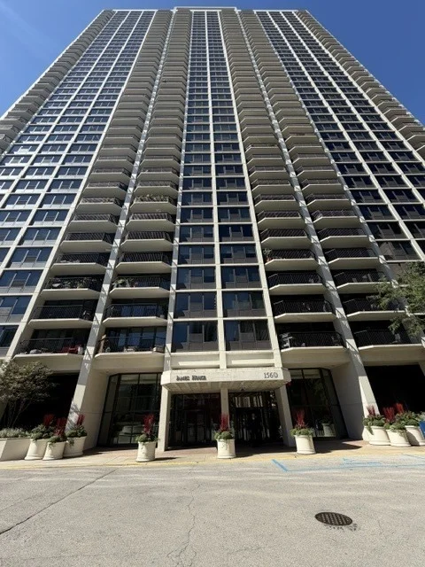 Unit for sale at 1560 N Sandburg Terrace, Chicago, IL 60610