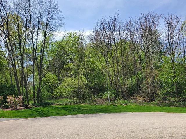 Unit for sale at 16149 Scenic Court, Wadsworth, IL 60083