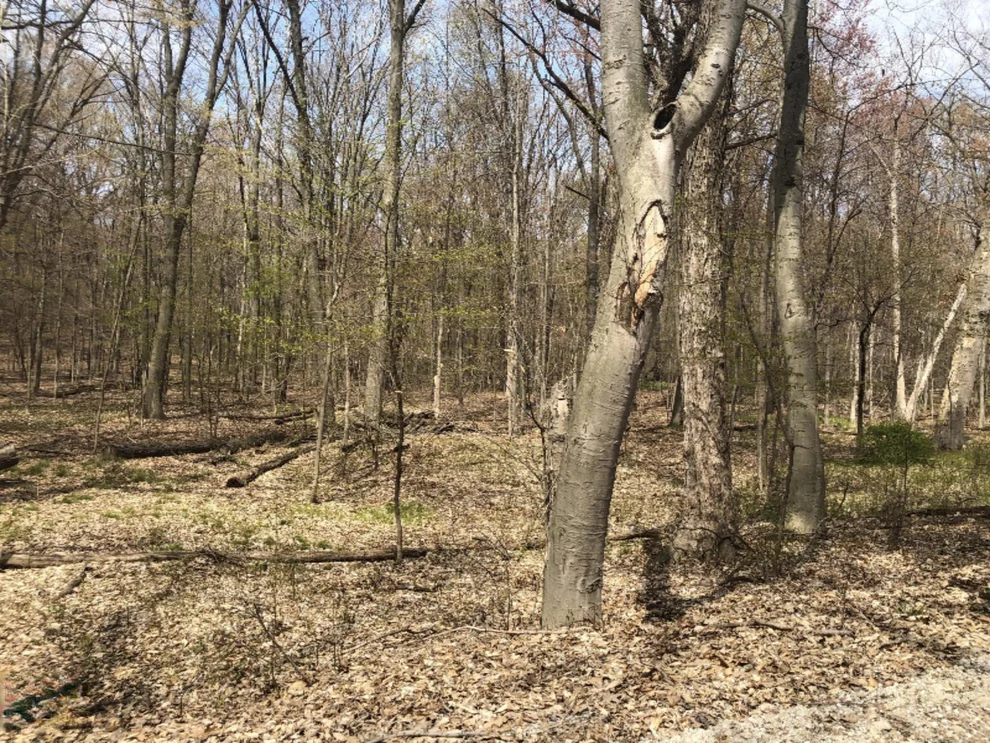 Unit for sale at 0 Wildwood Drive, Bridgman, MI 49106