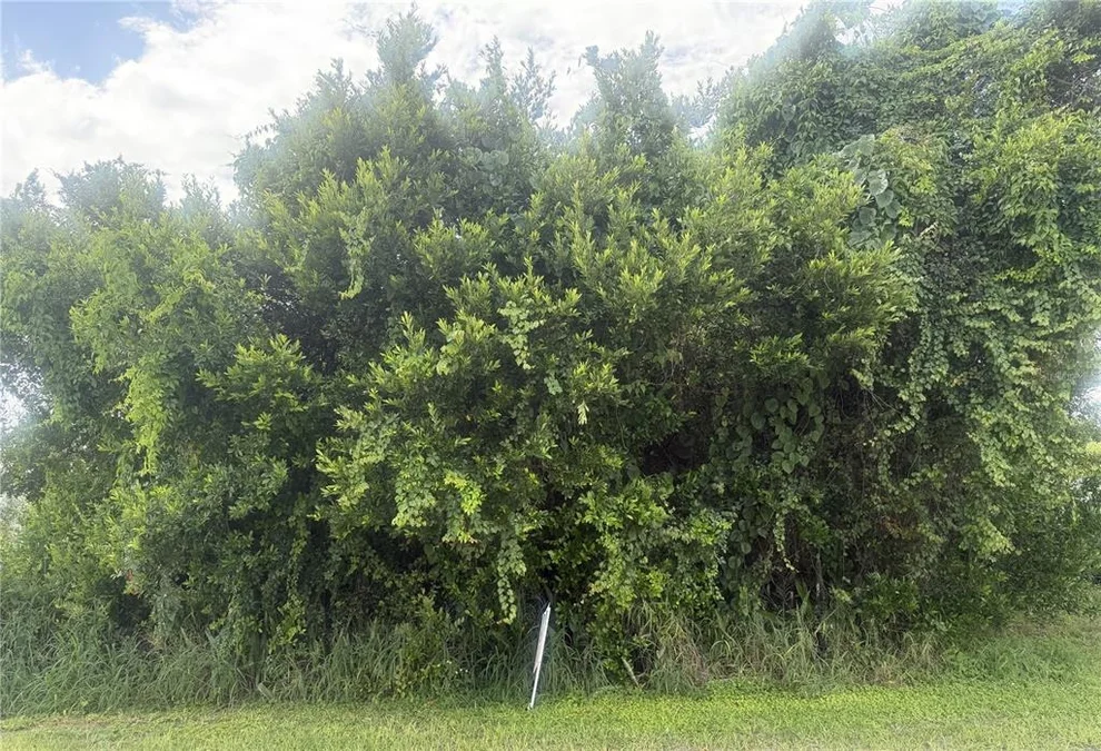 Unit for sale at 1600 E CLARADGE AVENUE, AVON PARK, FL 33825