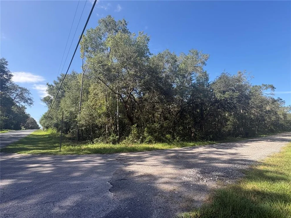 Unit for sale at 3348 E HESTER STREET, INVERNESS, FL 34453
