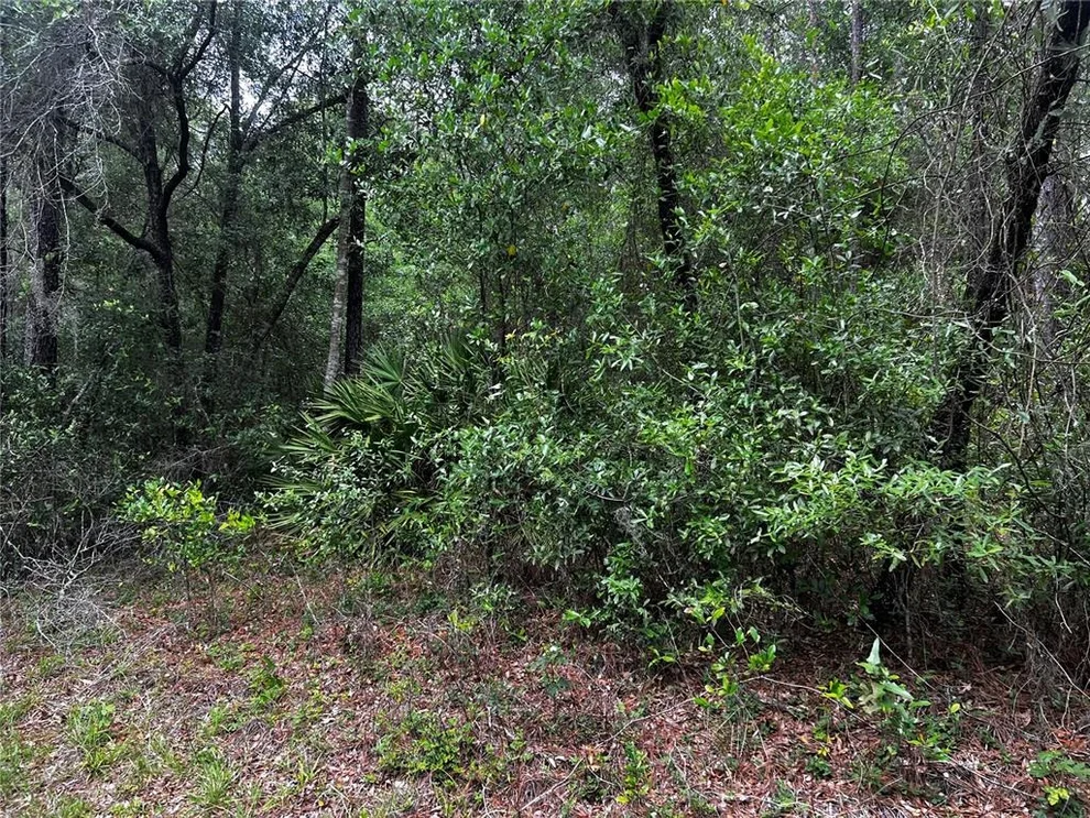Unit for sale at TBD SW 186TH CT., DUNNELLON, FL 34432