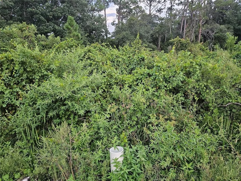 Unit for sale at 112 DRAYCOTT AVENUE, LAKE PLACID, FL 33852