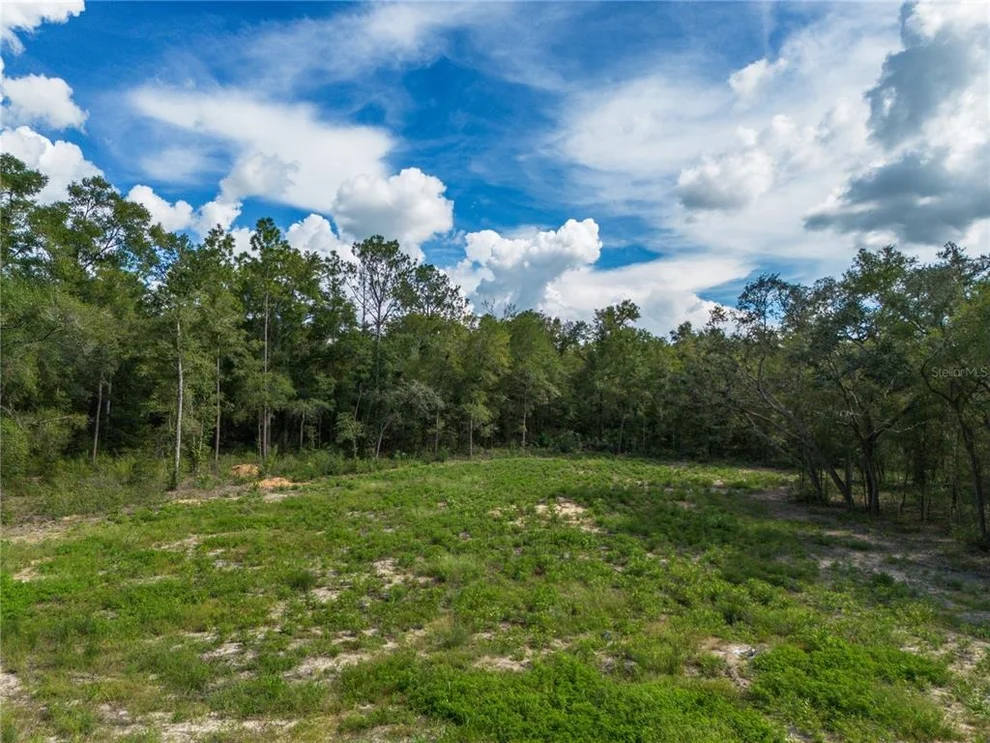Unit for sale at TBD NE 82ND PLACE, BRONSON, FL 32621