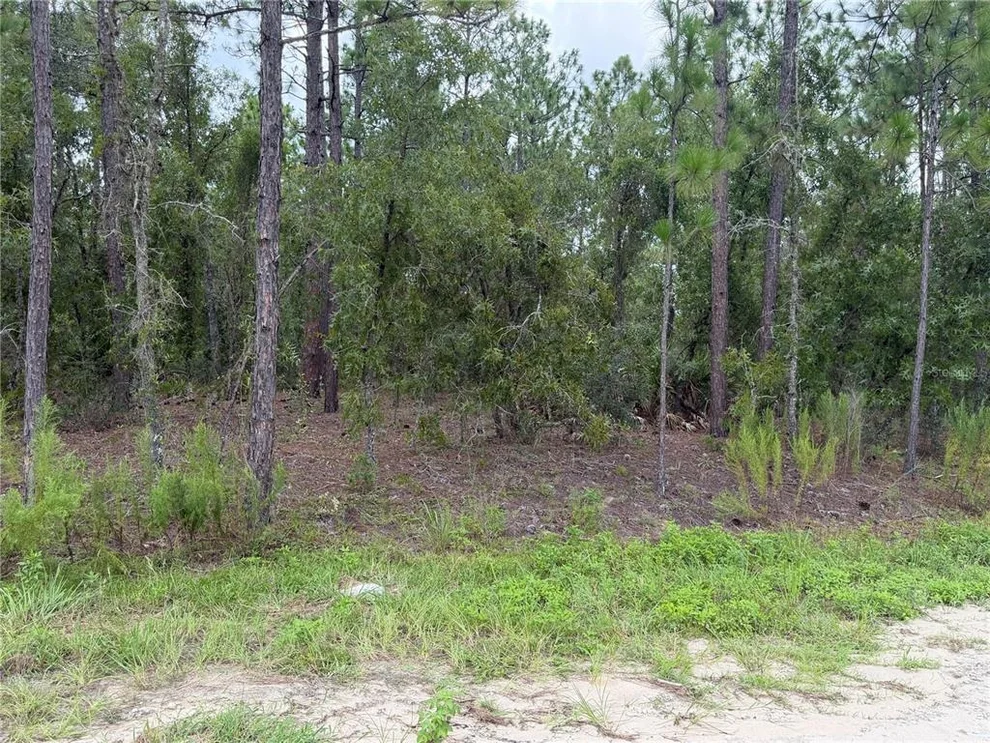 Unit for sale at 00 SW 131 AVENUE, OCALA, FL 34481