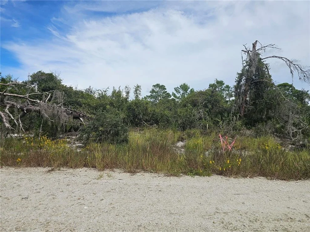 Unit for sale at 123 PATTON AVENUE, LAKE PLACID, FL 33852