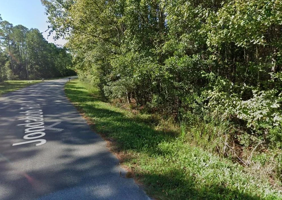 Unit for sale at 161 JONDABOB ROAD, GREEN COVE SPRINGS, FL 32043