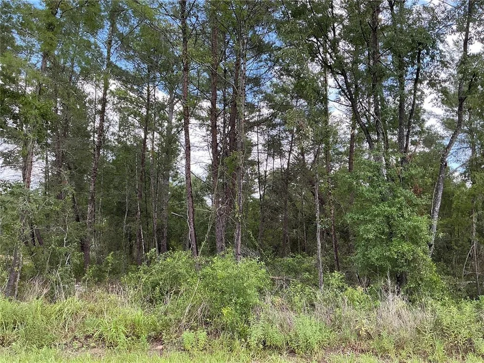 Unit for sale at LOT 1 BAY COURT PASS, OCKLAWAHA, FL 32179