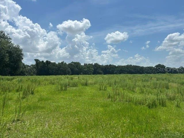 Unit for sale at SE 34TH WAY, SUMTERVILLE, FL 33585
