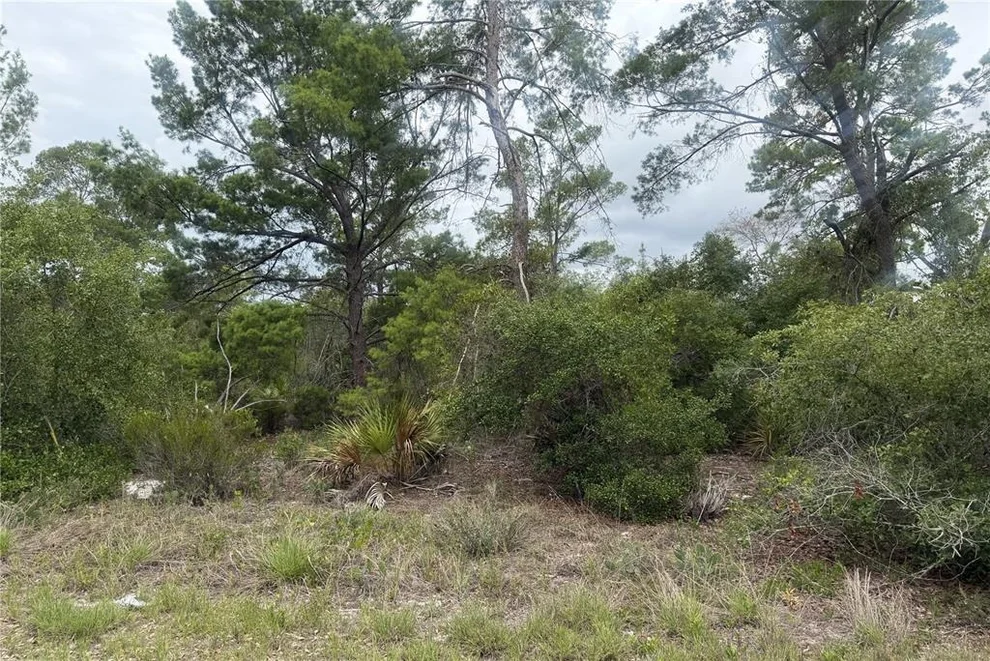 Unit for sale at 105 HOOVER AVENUE NE, LAKE PLACID, FL 33852