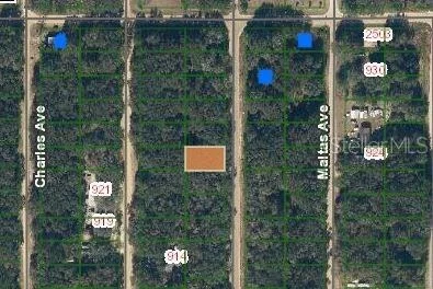 Unit for sale at ANNETTE AVENUE, INTERLACHEN, FL 32148
