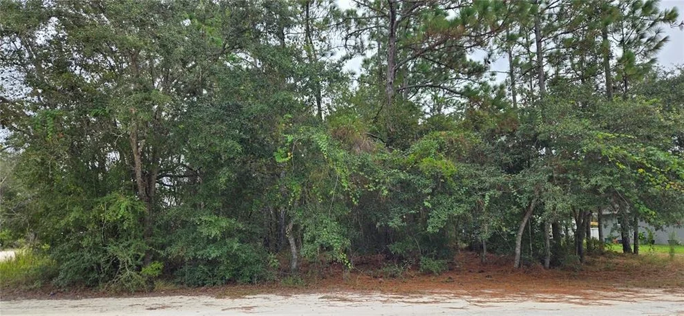 Unit for sale at 13476 CANADA GOOSE ROAD, BROOKSVILLE, FL 34614