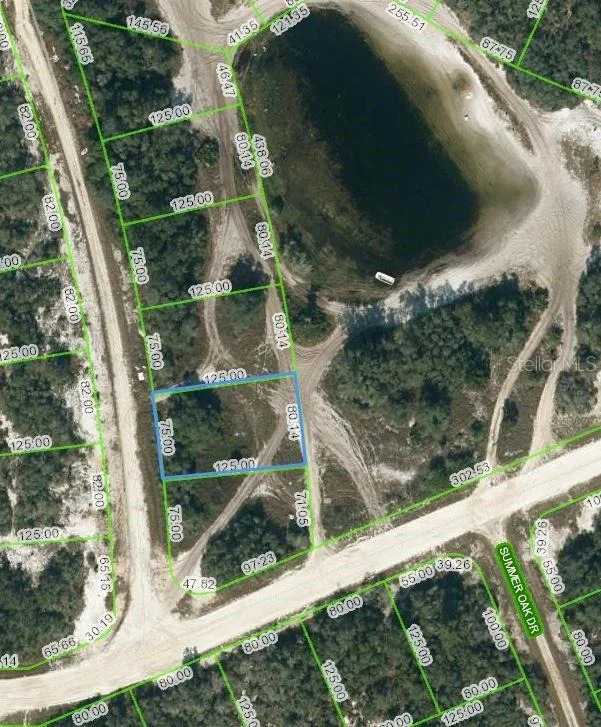 Unit for sale at 203 SUNWAY DRIVE, LAKE PLACID, FL 33852