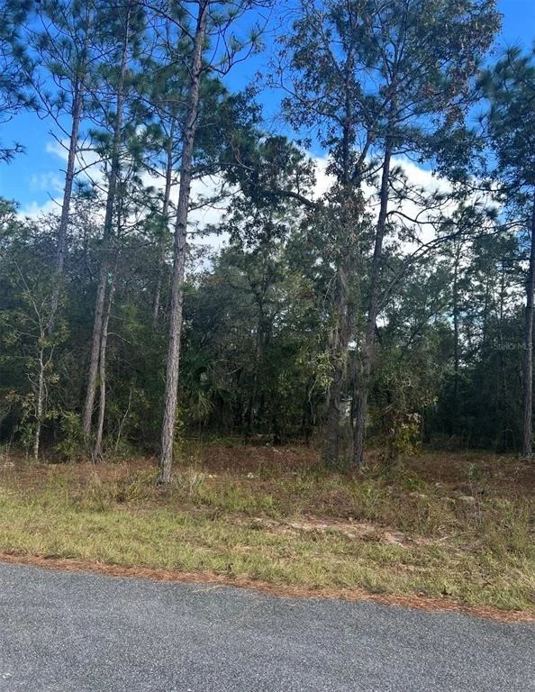 Unit for sale at TBD LOCUST LOOP PLACE LOT 7, OCALA, FL 34472
