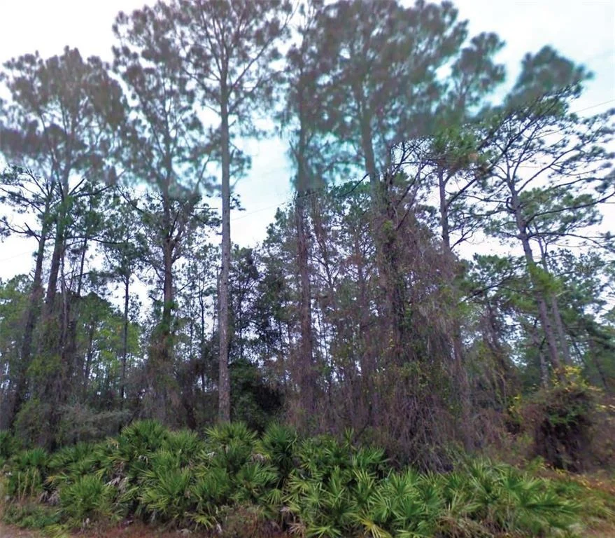 Unit for sale at NE 66TH AVENUE, CITRA, FL 32113