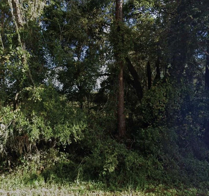 Unit for sale at NE 234TH PLACE ROAD, FORT MC COY, FL 32134