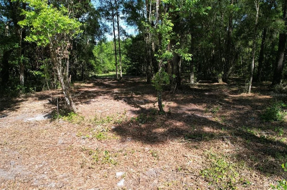 Unit for sale at SE 164TH TERRACE, WILLISTON, FL 32696
