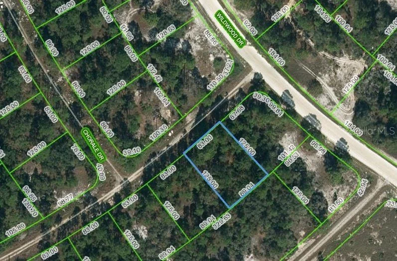 Unit for sale at 391 CARTIER AVENUE, LAKE PLACID, FL 33852