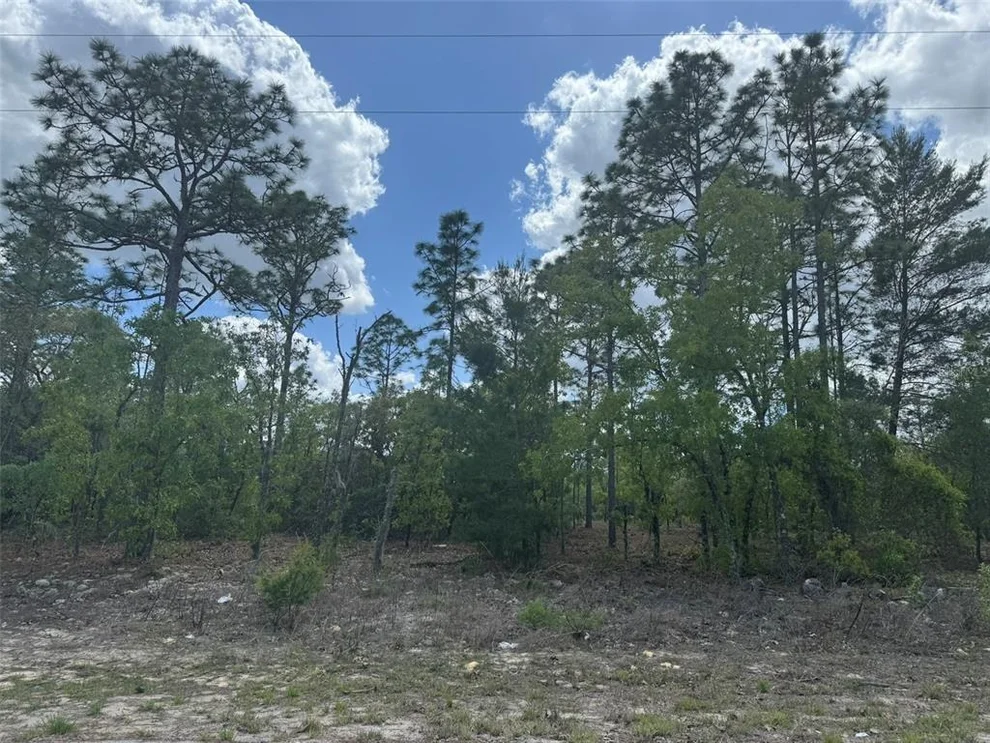 Unit for sale at 3000 W LIZA PLACE, DUNNELLON, FL 34433