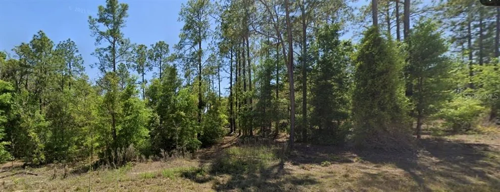 Unit for sale at SE 5TH PLACE, WILLISTON, FL 32696