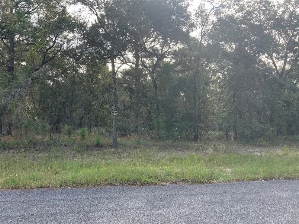 Unit for sale at SE 139TH TER LOT 19, MORRISTON, FL 32668