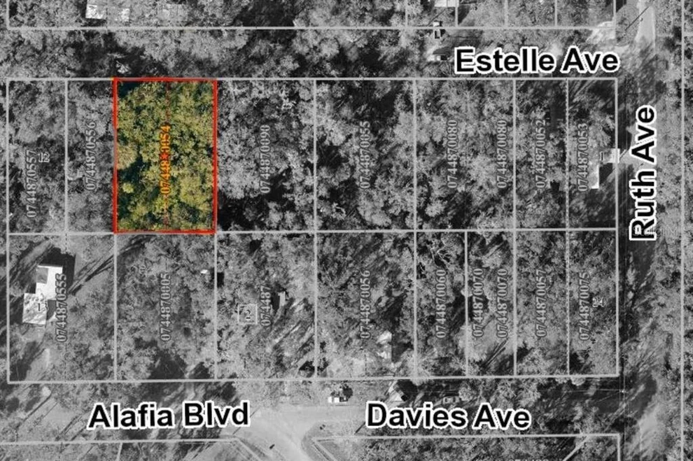Unit for sale at 931 ESTELLE AVENUE, BRANDON, FL 33511
