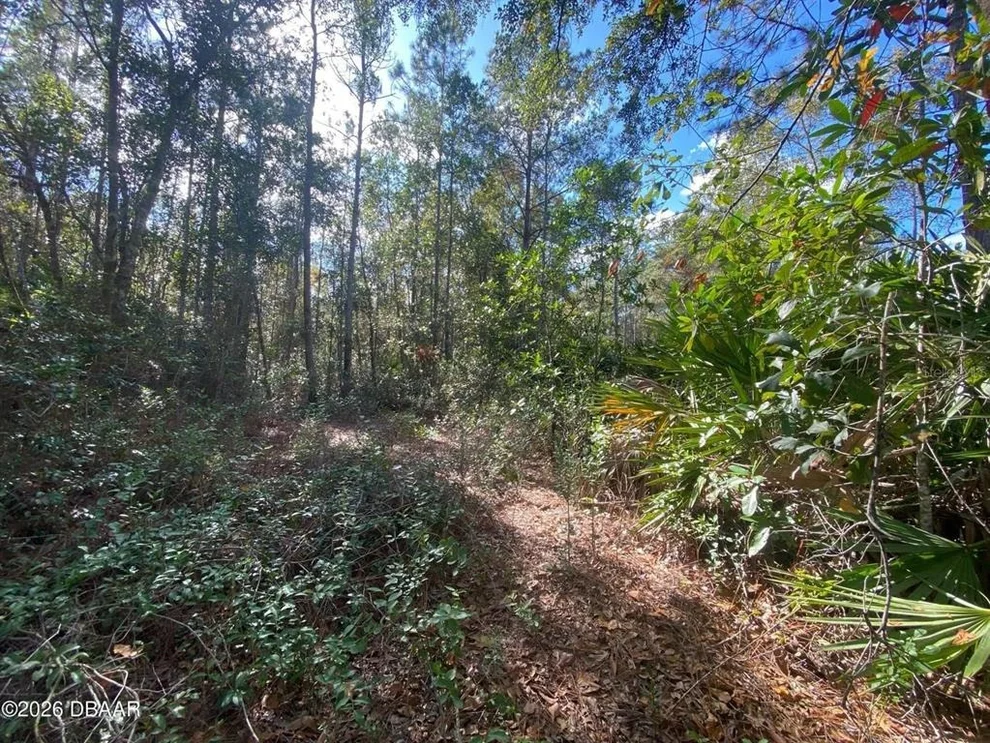 Unit for sale at 820 OLD BUBBLY ROAD, PIERSON, FL 32180