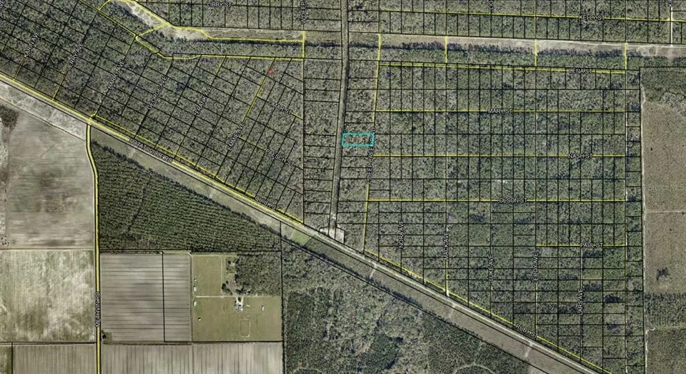 Unit for sale at E DEEP CREEK BOULEVARD, HASTINGS, FL 32145