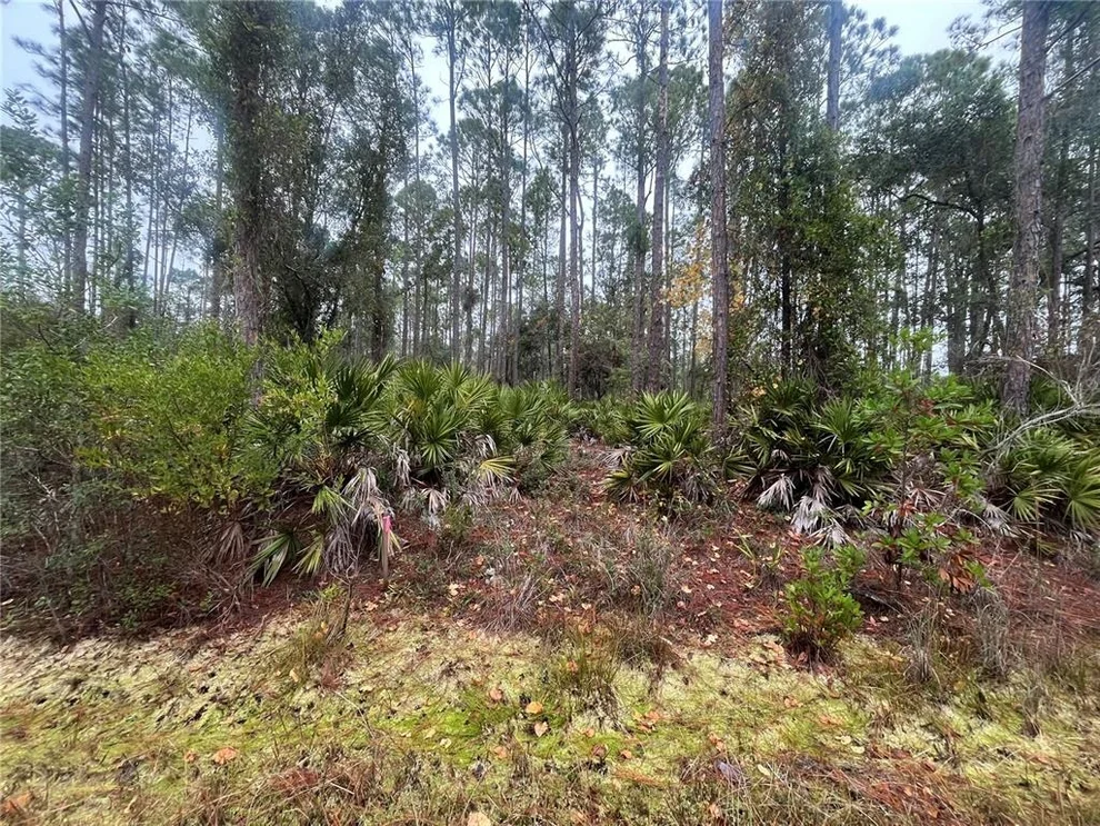 Unit for sale at 222 MARIE AVENUE, GEORGETOWN, FL 32139