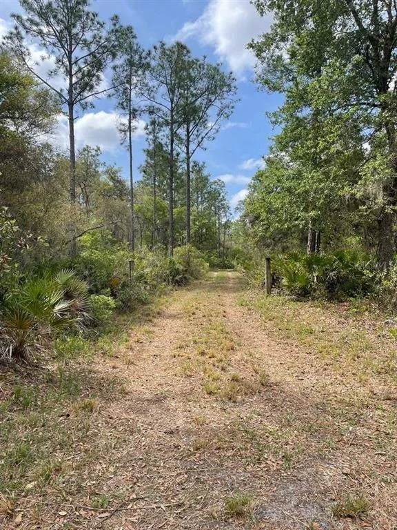 Unit for sale at E HWY 318, CITRA, FL 32113