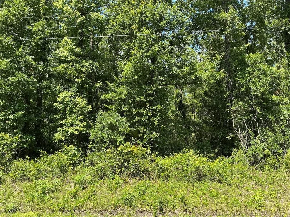 Unit for sale at 10135 MCMAHON AVENUE, HASTINGS, FL 32145