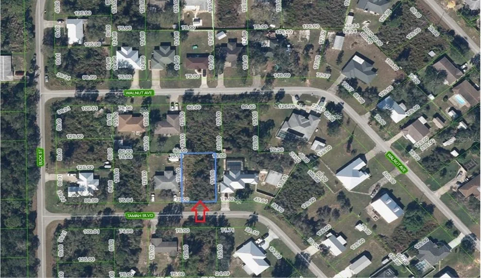 Unit for sale at 1507 TAMAH BOULEVARD, LAKE PLACID, FL 33852