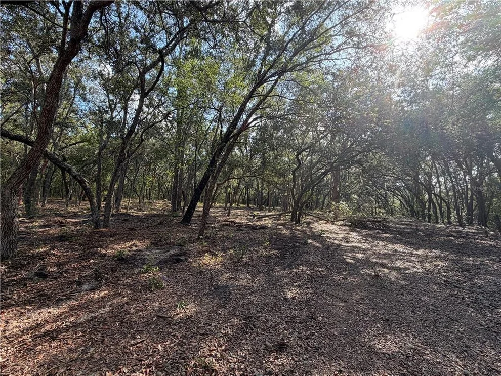 Unit for sale at 103 SW 53RD AVENUE, INTERLACHEN, FL 32148
