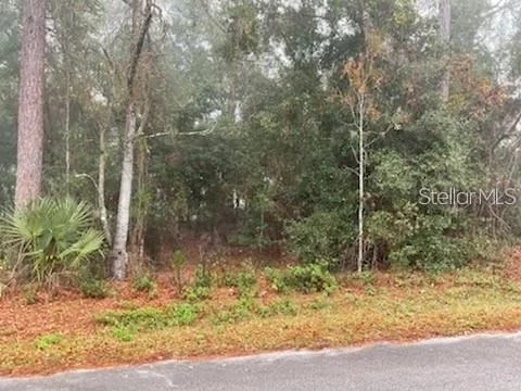 Unit for sale at 0 SE 99TH AVENUE, BELLEVIEW, FL 34420