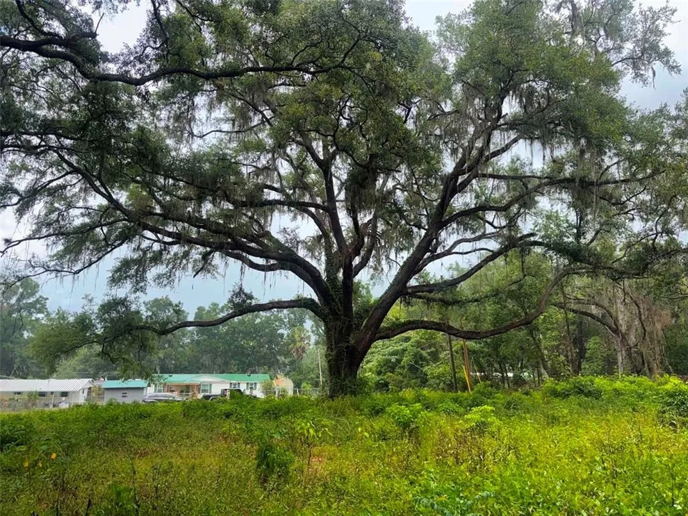 Unit for sale at 6360 SE 145TH PLACE, SUMMERFIELD, FL 34491