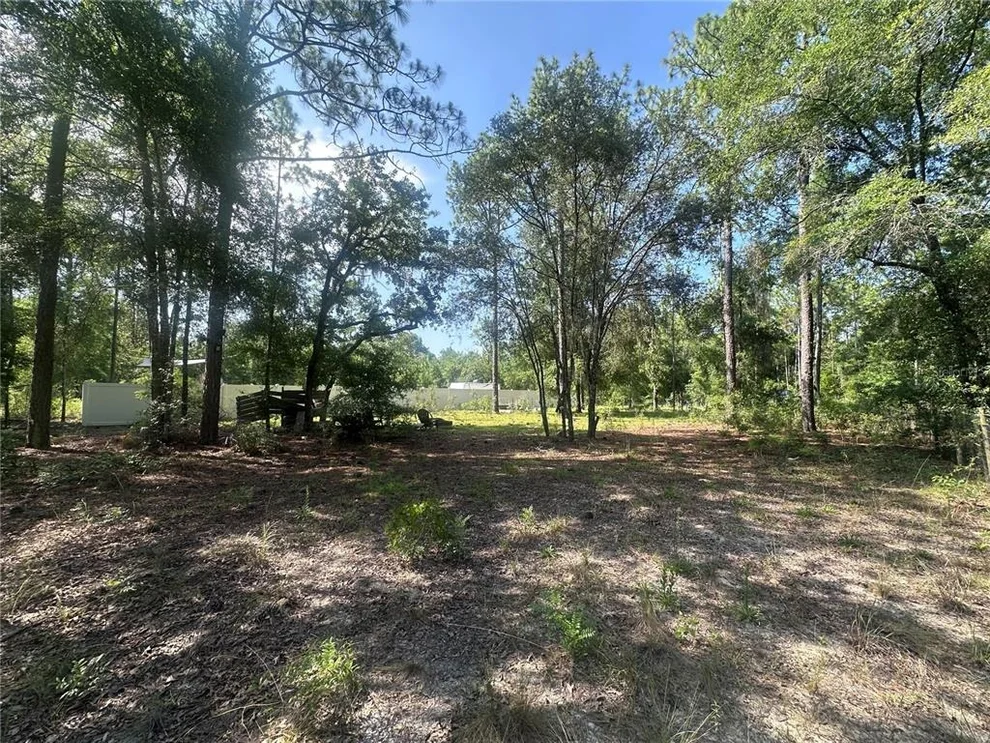 Unit for sale at TBD NE 3RD PLACE, WILLISTON, FL 32696