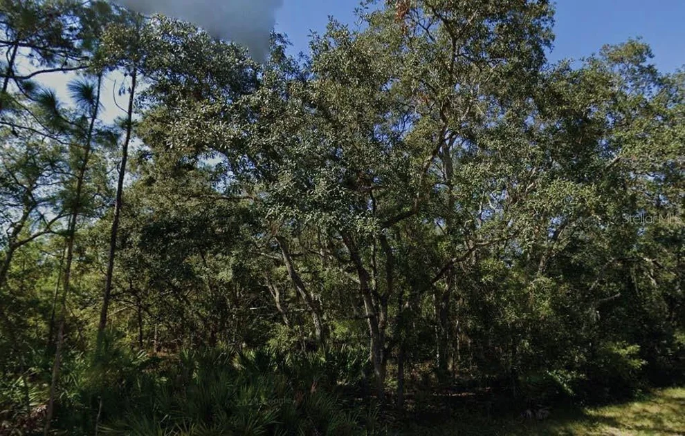 Unit for sale at THERESA AVENUE, INTERLACHEN, FL 32148