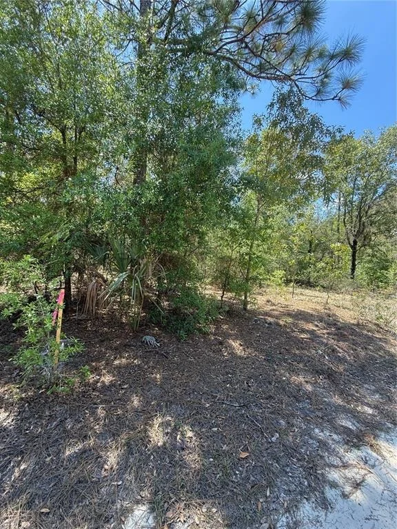 Unit for sale at NE 118TH LANE, BRONSON, FL 32621