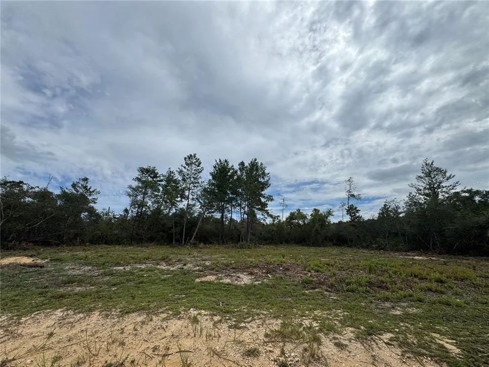 Unit for sale at NE 135TH ST, SALT SPRINGS, FL 32134