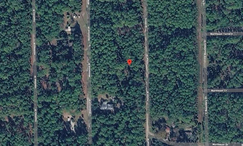 Unit for sale at 143 FOREST STREET, GEORGETOWN, FL 32139