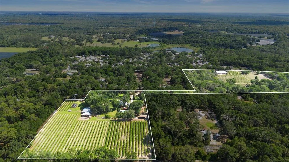 Unit for sale at 1056 REYNOLDS ROAD, DE LEON SPRINGS, FL 32130