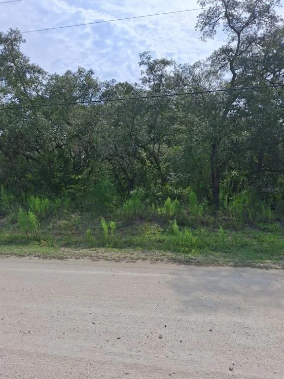 Unit for sale at 18364 PARAKEET ROAD, WEEKI WACHEE, FL 34614