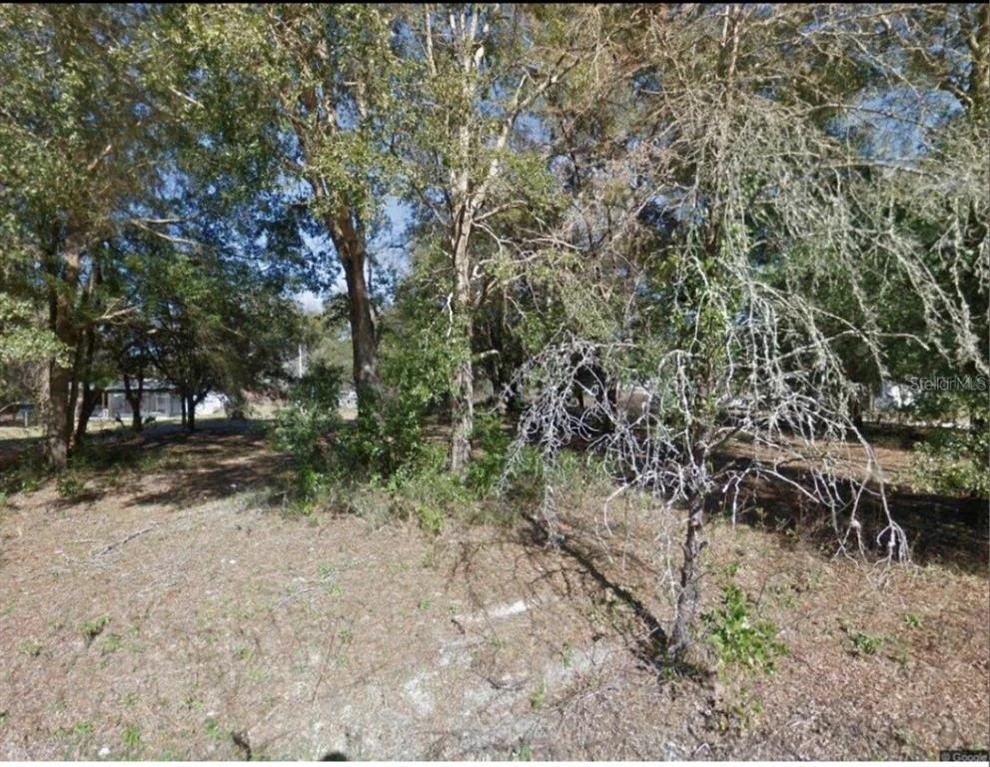 Unit for sale at 17449 NW 89TH TER, FANNING SPRINGS, FL 32693
