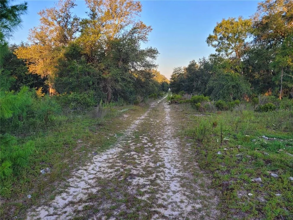 Unit for sale at NE 61ST LANE, WILLISTON, FL 32696