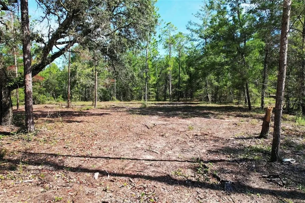 Unit for sale at SE 6TH LANE, WILLISTON, FL 32696