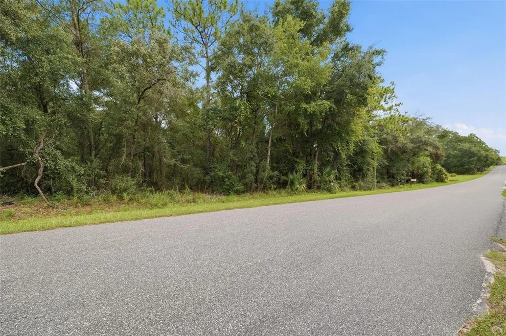 Unit for sale at 1295 E RAY STREET, HERNANDO, FL 34442
