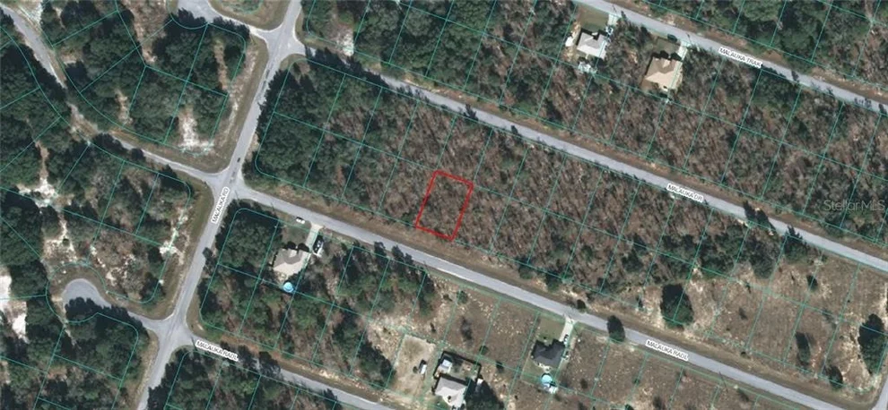 Unit for sale at 00 MALAUKA RADIAL, OCKLAWAHA, FL 32179