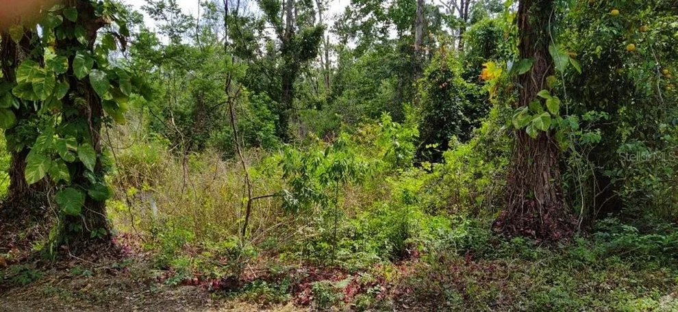 Unit for sale at MARJORIE BOULEVARD, LONGWOOD, FL 32750